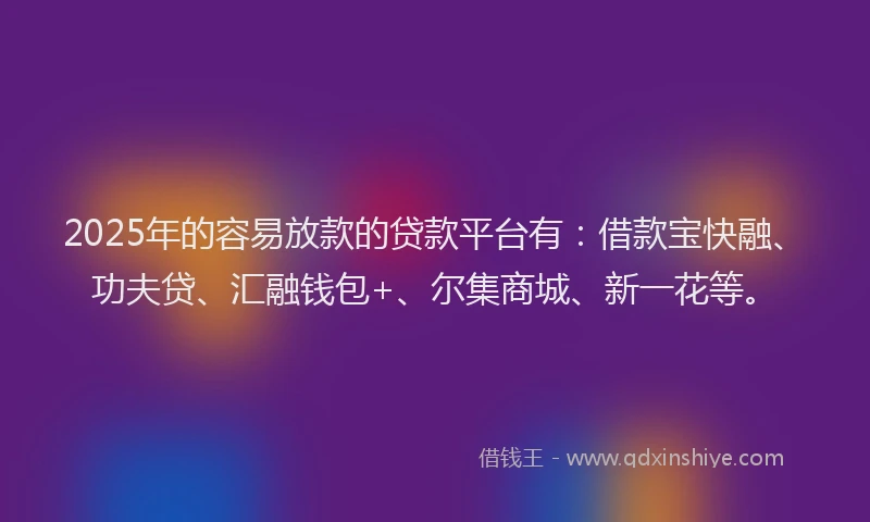 2025年的容易放款的贷款平台有：借款宝快融、功夫贷、汇融钱包+、尔集商城、新一花等。
