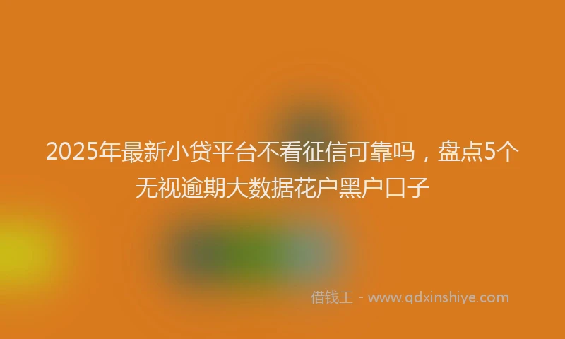 2025年最新小贷平台不看征信可靠吗，盘点5个无视逾期大数据花户黑户口子