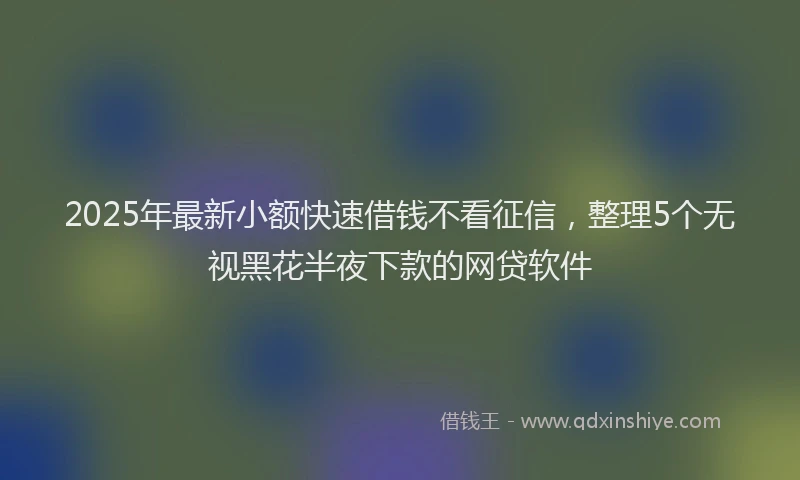 2025年最新小额快速借钱不看征信，整理5个无视黑花半夜下款的网贷软件