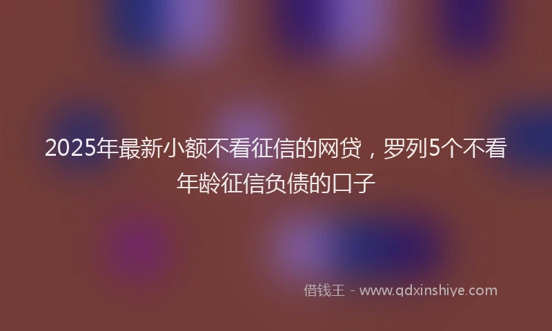 2025年最新小额不看征信的网贷，罗列5个不看年龄征信负债的口子