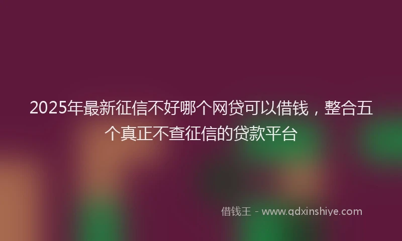 2025年最新征信不好哪个网贷可以借钱，整合五个真正不查征信的贷款平台
