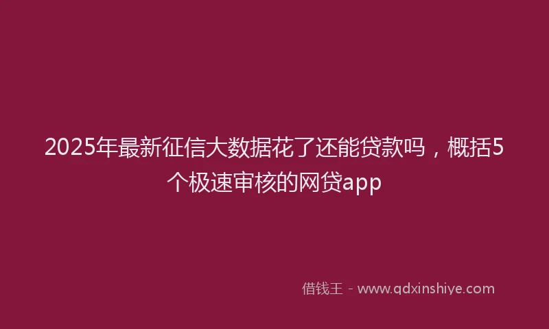 2025年最新征信大数据花了还能贷款吗，概括5个极速审核的网贷app