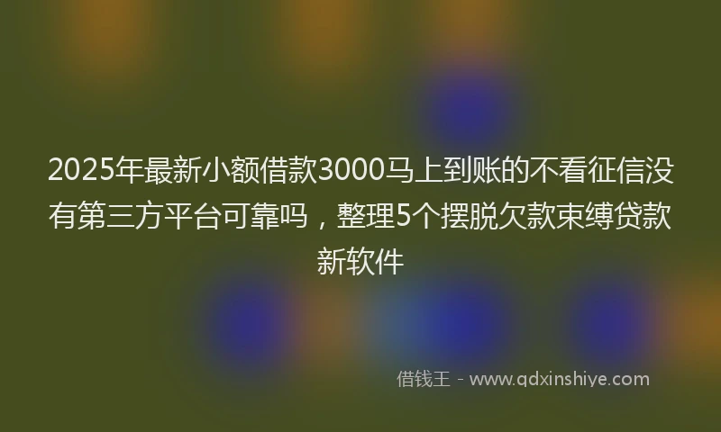 2025年最新小额借款3000马上到账的不看征信没有第三方平台可靠吗，整理5个摆脱欠款束缚贷款新软件