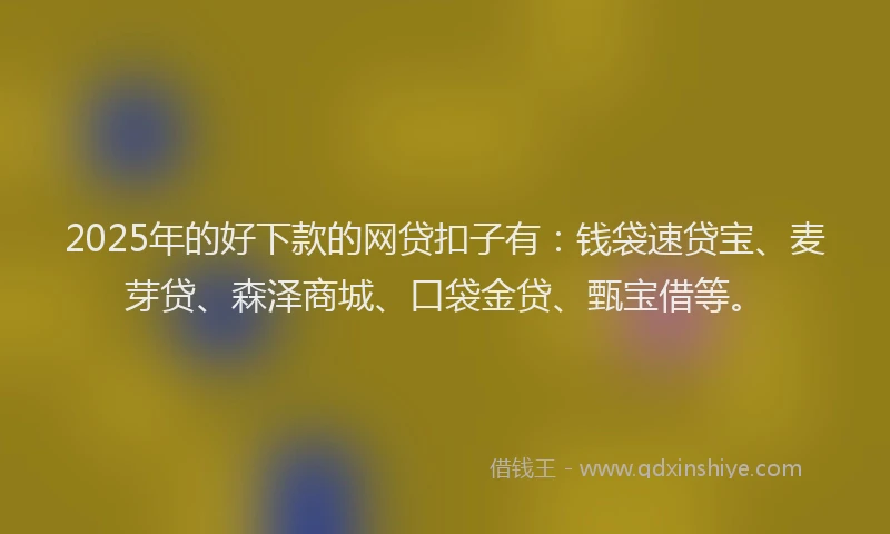 2025年的好下款的网贷扣子有：钱袋速贷宝、麦芽贷、森泽商城、口袋金贷、甄宝借等。