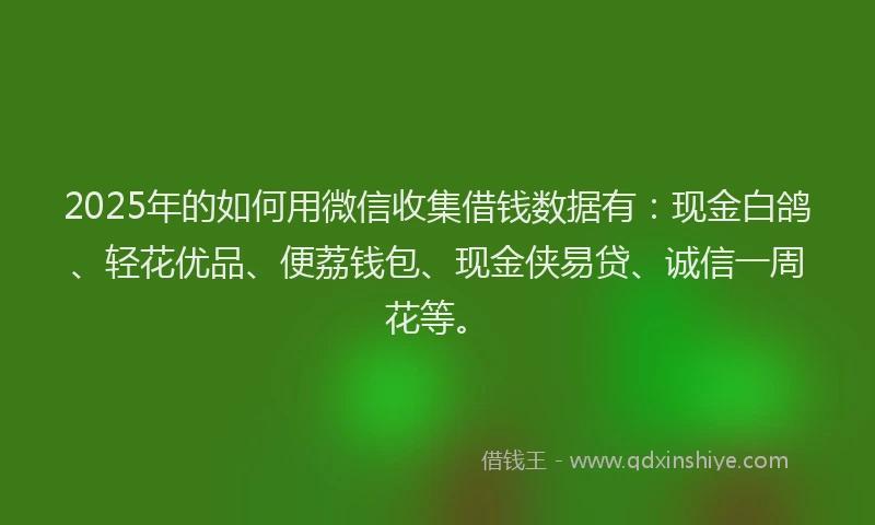 2025年的如何用微信收集借钱数据有：现金白鸽、轻花优品、便荔钱包、现金侠易贷、诚信一周花等。