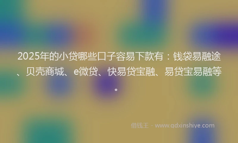 2025年的小贷哪些口子容易下款有：钱袋易融途、贝壳商城、e微贷、快易贷宝融、易贷宝易融等。