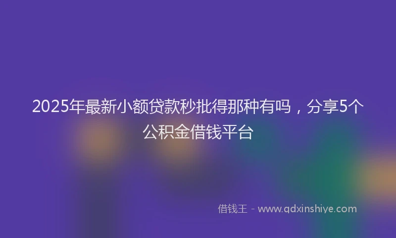 2025年最新小额贷款秒批得那种有吗，分享5个公积金借钱平台