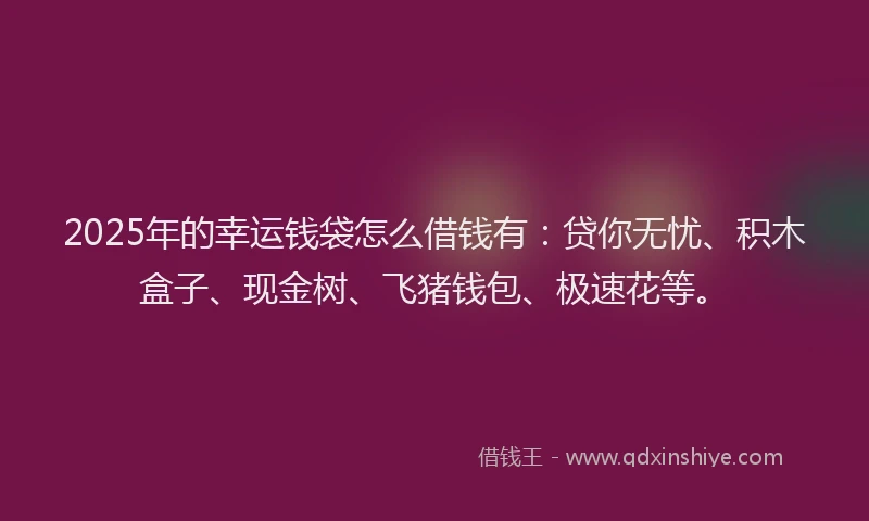2025年的幸运钱袋怎么借钱有：贷你无忧、积木盒子、现金树、飞猪钱包、极速花等。