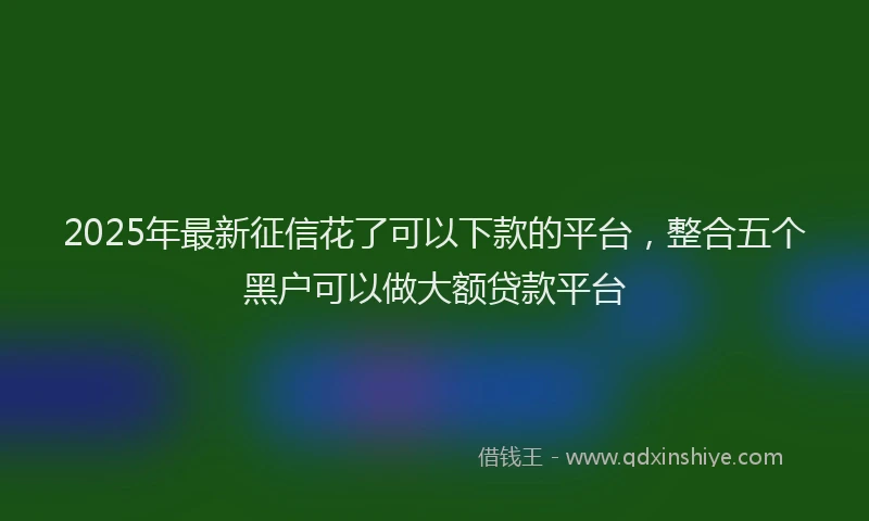 2025年最新征信花了可以下款的平台，整合五个黑户可以做大额贷款平台