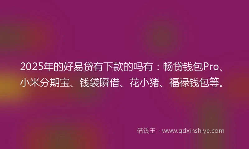 2025年的好易贷有下款的吗有：畅贷钱包Pro、小米分期宝、钱袋瞬借、花小猪、福禄钱包等。