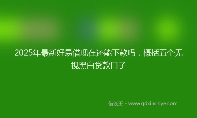 2025年最新好易借现在还能下款吗，概括五个无视黑白贷款口子