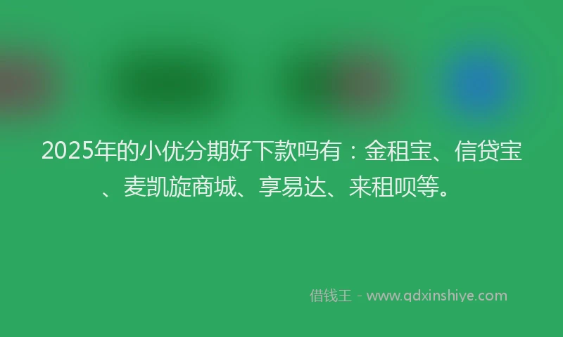 2025年的小优分期好下款吗有：金租宝、信贷宝、麦凯旋商城、享易达、来租呗等。
