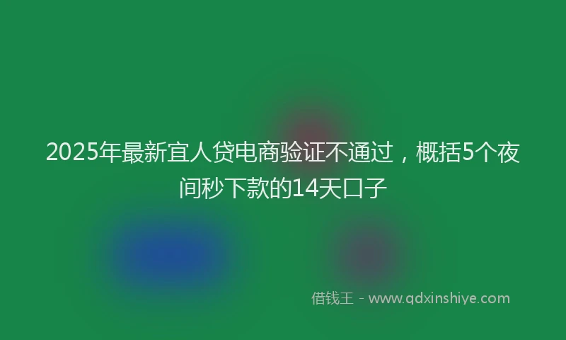 2025年最新宜人贷电商验证不通过，概括5个夜间秒下款的14天口子