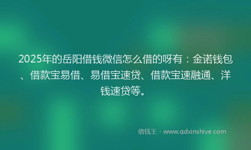 2025年的岳阳借钱微信怎么借的呀有：金诺钱包、借款宝易借、易借宝速贷、借款宝速融通、洋钱速贷等。