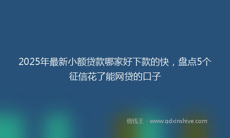 2025年最新小额贷款哪家好下款的快，盘点5个征信花了能网贷的口子