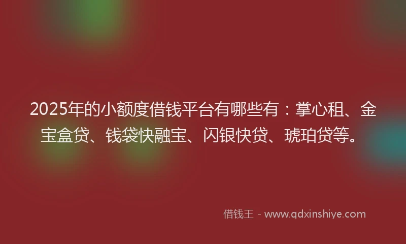 2025年的小额度借钱平台有哪些有：掌心租、金宝盒贷、钱袋快融宝、闪银快贷、琥珀贷等。