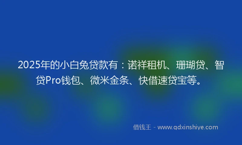 2025年的小白兔贷款有：诺祥租机、珊瑚贷、智贷Pro钱包、微米金条、快借速贷宝等。