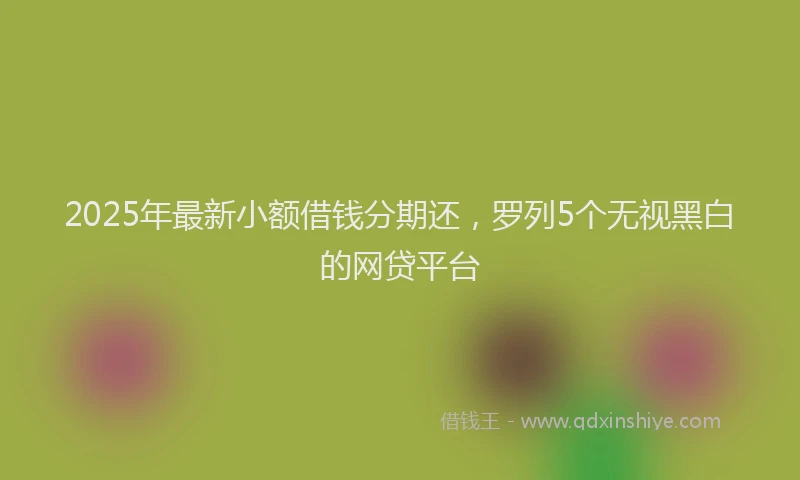 2025年最新小额借钱分期还，罗列5个无视黑白的网贷平台