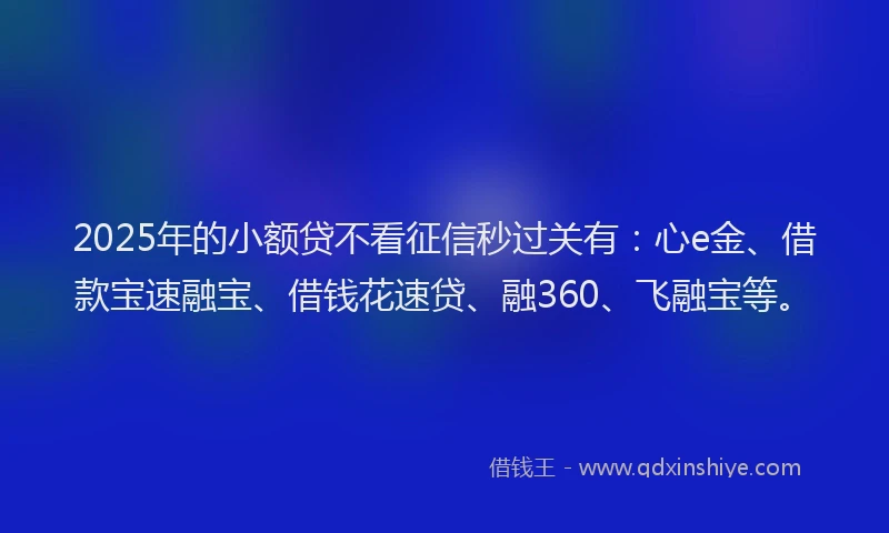 2025年的小额贷不看征信秒过关有：心e金、借款宝速融宝、借钱花速贷、融360、飞融宝等。