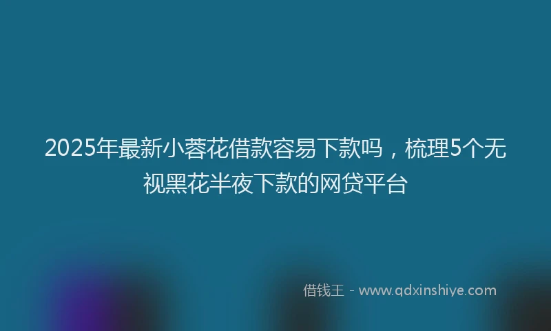 2025年最新小蓉花借款容易下款吗，梳理5个无视黑花半夜下款的网贷平台