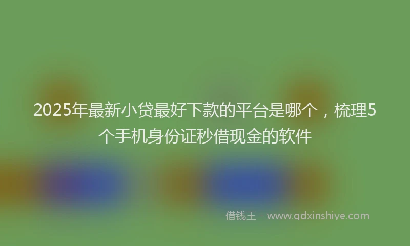 2025年最新小贷最好下款的平台是哪个，梳理5个手机身份证秒借现金的软件