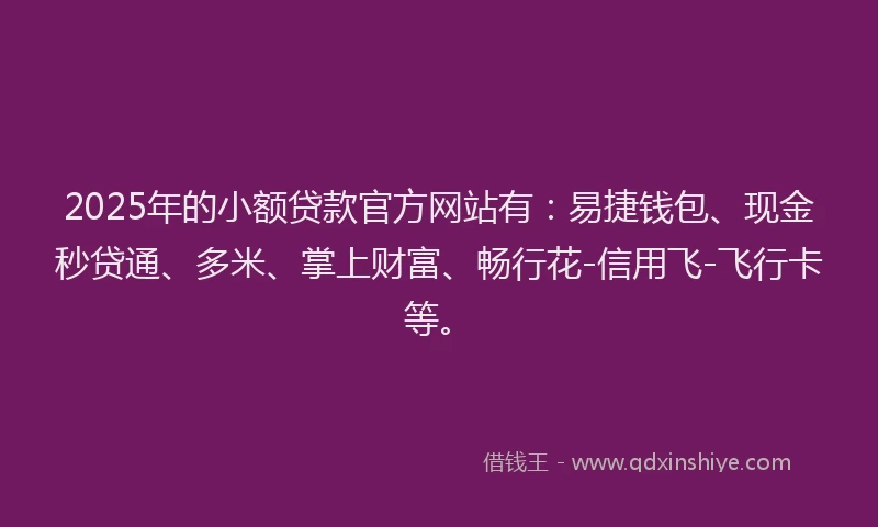 2025年的小额贷款官方网站有：易捷钱包、现金秒贷通、多米、掌上财富、畅行花-信用飞-飞行卡等。