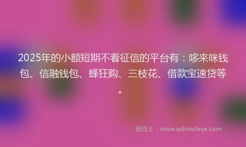 2025年的小额短期不看征信的平台有：哆来咪钱包、信融钱包、蜂狂购、三枝花、借款宝速贷等。