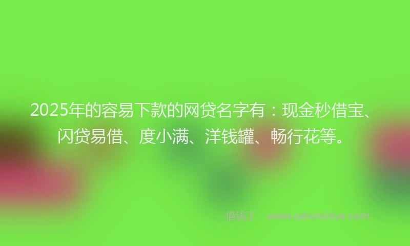 2025年的容易下款的网贷名字有：现金秒借宝、闪贷易借、度小满、洋钱罐、畅行花等。