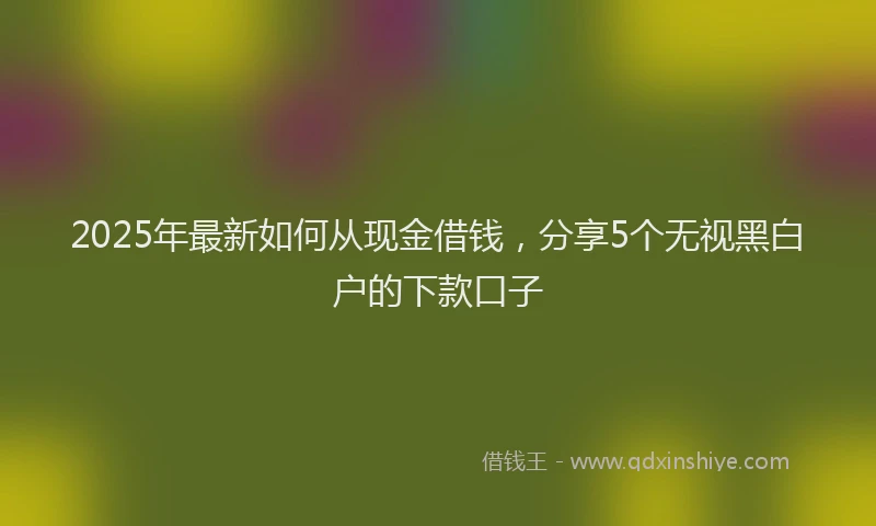 2025年最新如何从现金借钱，分享5个无视黑白户的下款口子