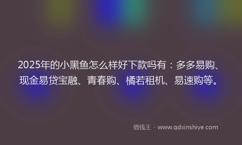 2025年的小黑鱼怎么样好下款吗有：多多易购、现金易贷宝融、青春购、橘若租机、易速购等。
