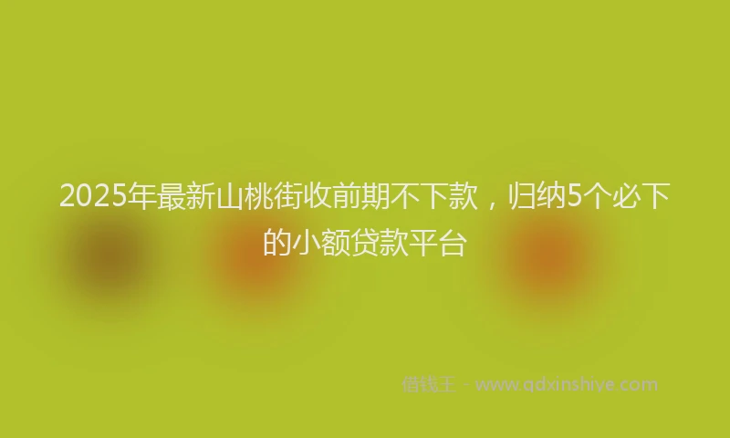 2025年最新山桃街收前期不下款，归纳5个必下的小额贷款平台