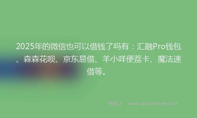 2025年的微信也可以借钱了吗有：汇融Pro钱包、森森花呗、京东易借、羊小咩便荔卡、魔法速借等。