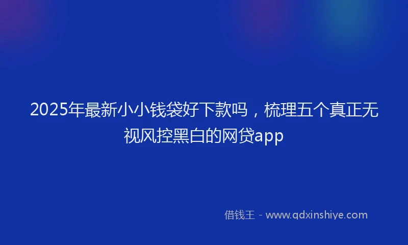 2025年最新小小钱袋好下款吗，梳理五个真正无视风控黑白的网贷app