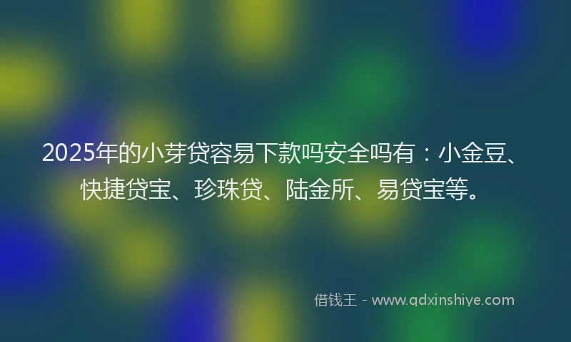 2025年的小芽贷容易下款吗安全吗有：小金豆、快捷贷宝、珍珠贷、陆金所、易贷宝等。
