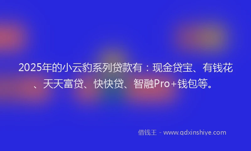 2025年的小云豹系列贷款有：现金贷宝、有钱花、天天富贷、快快贷、智融Pro+钱包等。