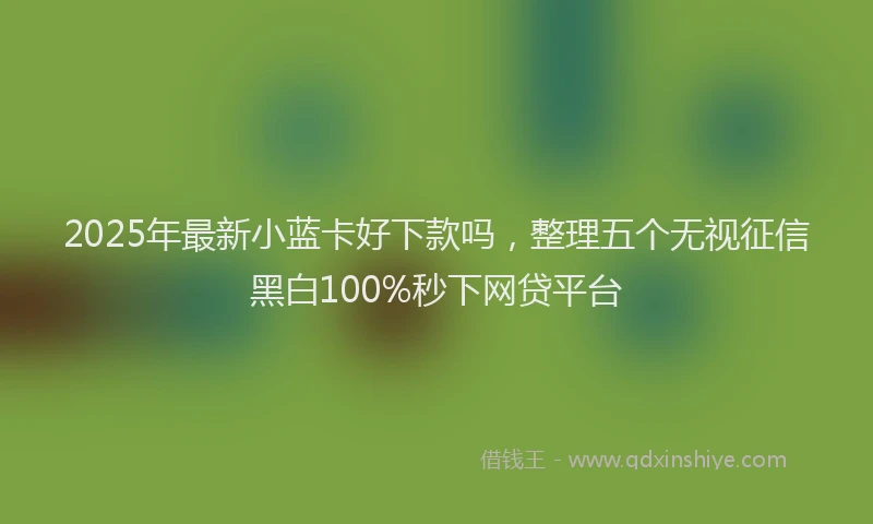 2025年最新小蓝卡好下款吗，整理五个无视征信黑白100%秒下网贷平台