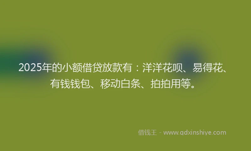 2025年的小额借贷放款有：洋洋花呗、易得花、有钱钱包、移动白条、拍拍用等。