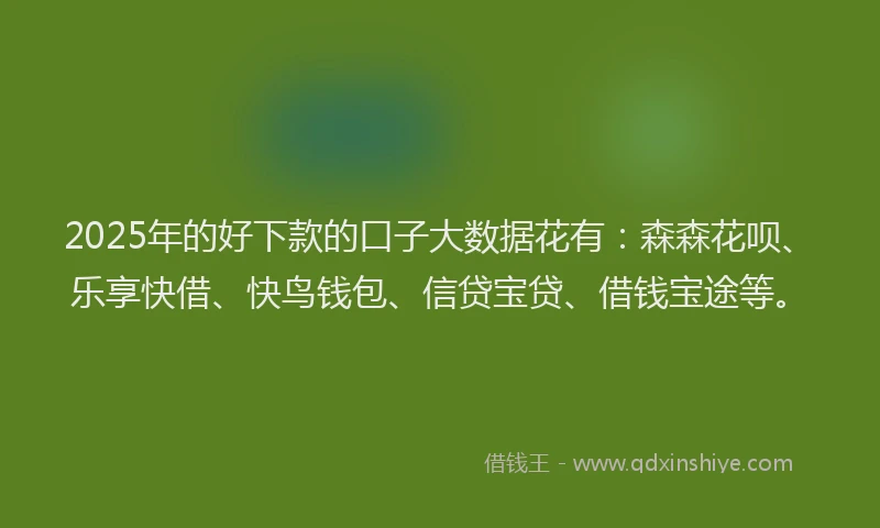 2025年的好下款的口子大数据花有：森森花呗、乐享快借、快鸟钱包、信贷宝贷、借钱宝途等。