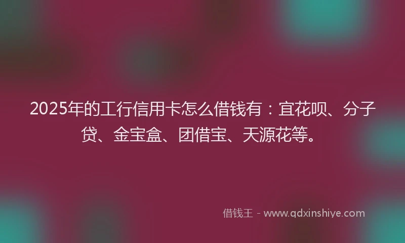 2025年的工行信用卡怎么借钱有：宜花呗、分子贷、金宝盒、团借宝、天源花等。
