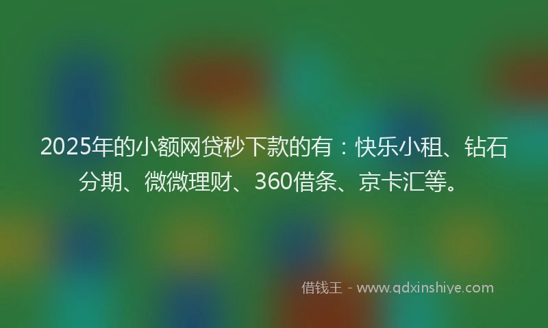 2025年的小额网贷秒下款的有：快乐小租、钻石分期、微微理财、360借条、京卡汇等。