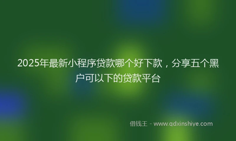 2025年最新小程序贷款哪个好下款，分享五个黑户可以下的贷款平台