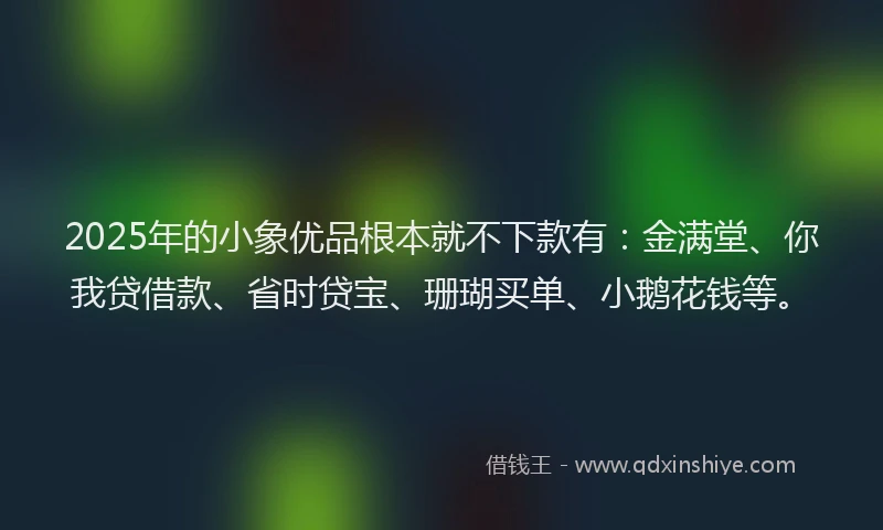2025年的小象优品根本就不下款有：金满堂、你我贷借款、省时贷宝、珊瑚买单、小鹅花钱等。