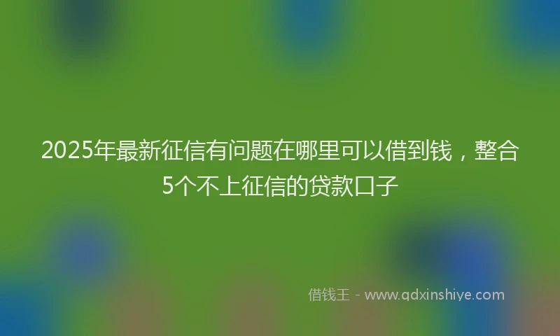 2025年最新征信有问题在哪里可以借到钱，整合5个不上征信的贷款口子