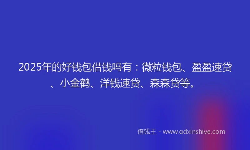 2025年的好钱包借钱吗有：微粒钱包、盈盈速贷、小金鹤、洋钱速贷、森森贷等。
