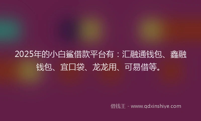 2025年的小白鲨借款平台有：汇融通钱包、鑫融钱包、宜口袋、龙龙用、可易借等。