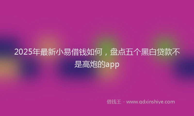 2025年最新小易借钱如何，盘点五个黑白贷款不是高炮的app