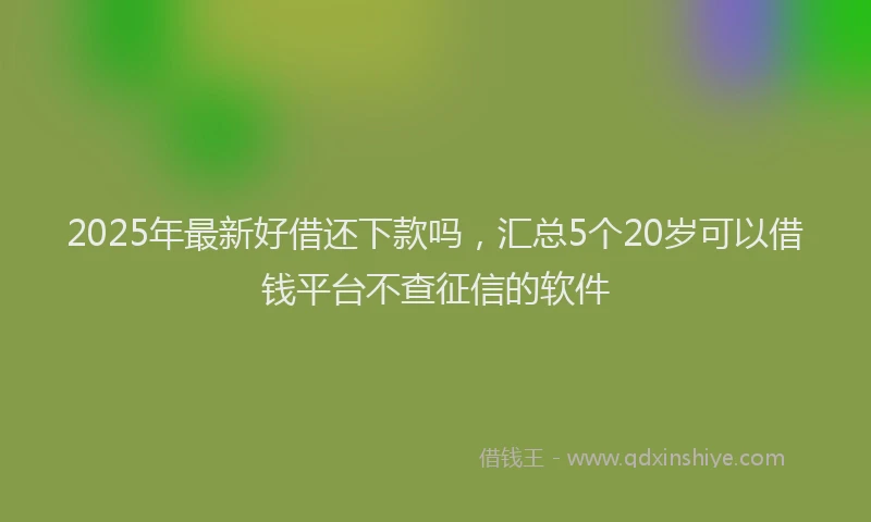 2025年最新好借还下款吗，汇总5个20岁可以借钱平台不查征信的软件