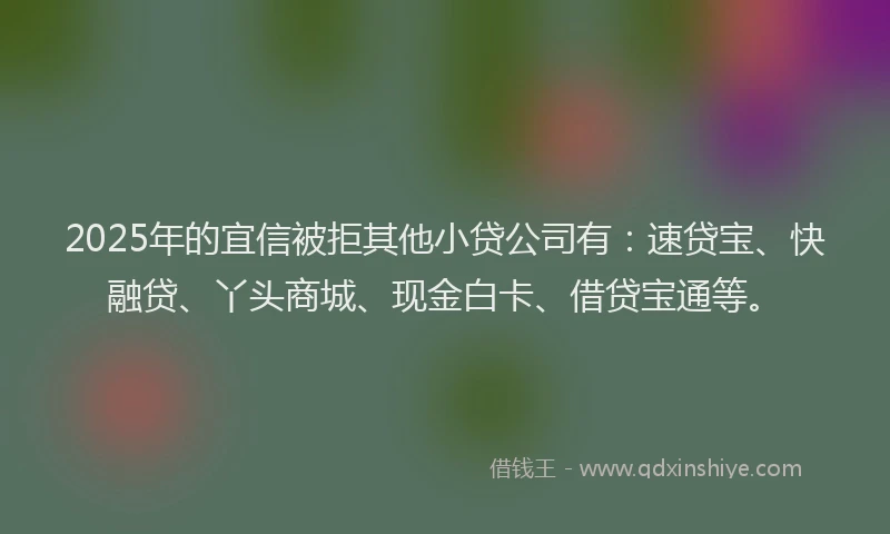2025年的宜信被拒其他小贷公司有：速贷宝、快融贷、丫头商城、现金白卡、借贷宝通等。