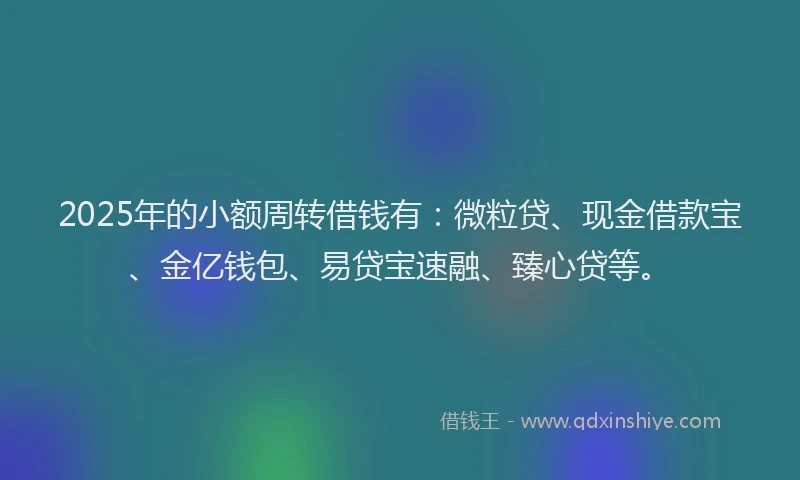 2025年的小额周转借钱有：微粒贷、现金借款宝、金亿钱包、易贷宝速融、臻心贷等。