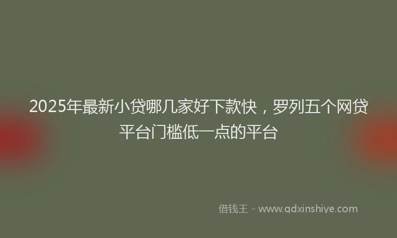 2025年最新小贷哪几家好下款快，罗列五个网贷平台门槛低一点的平台